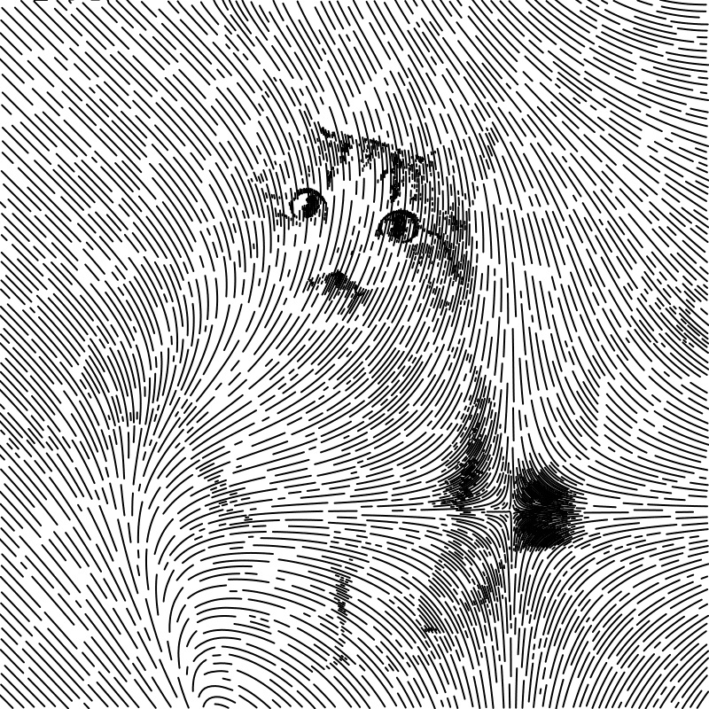 Flow Field