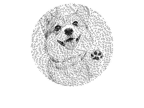 The corgi drawing cropped to a circle around its face