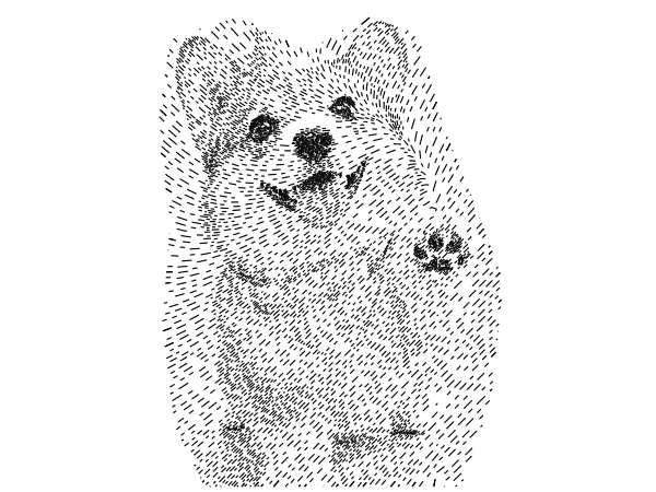 Custom shape crop
