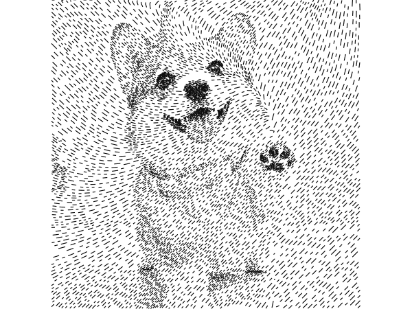 Corgi drawn as thousands of short flow-field dashes